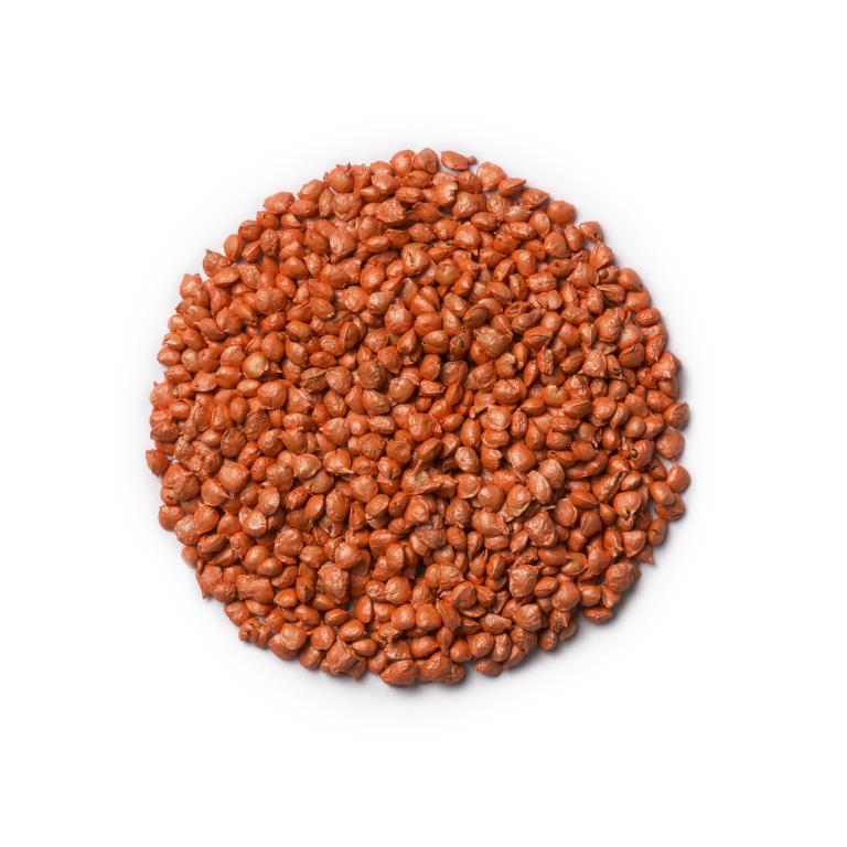 SDR Vision Spinach