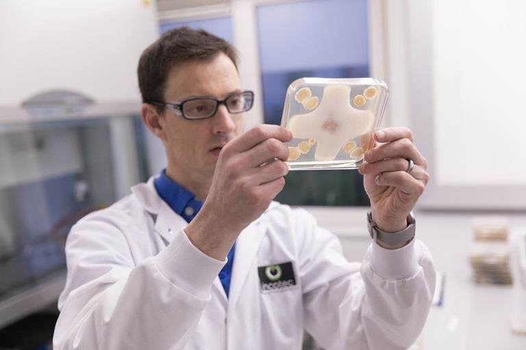 Pesquisador da Incotec trabalhando em produtos biológicos para uso na agricultura