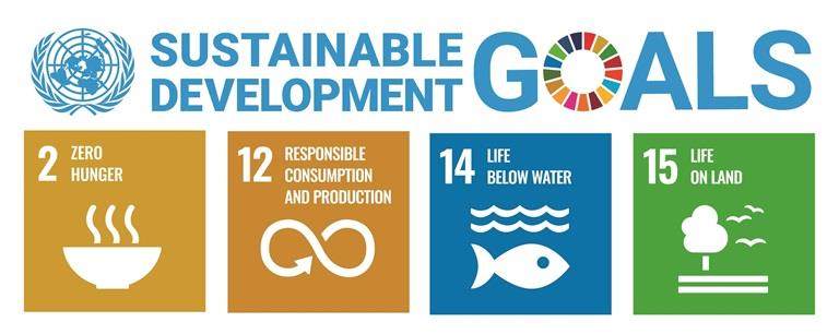 Incotec's products and technologies positively impact these 4 United Nation's SDGs