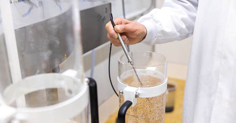 Seed priming in the Incotec lab