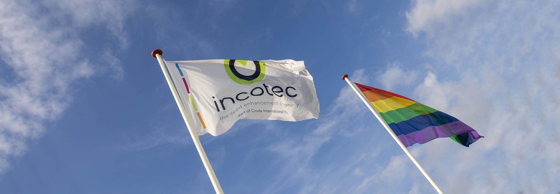 Incotec flag and rainbow flag